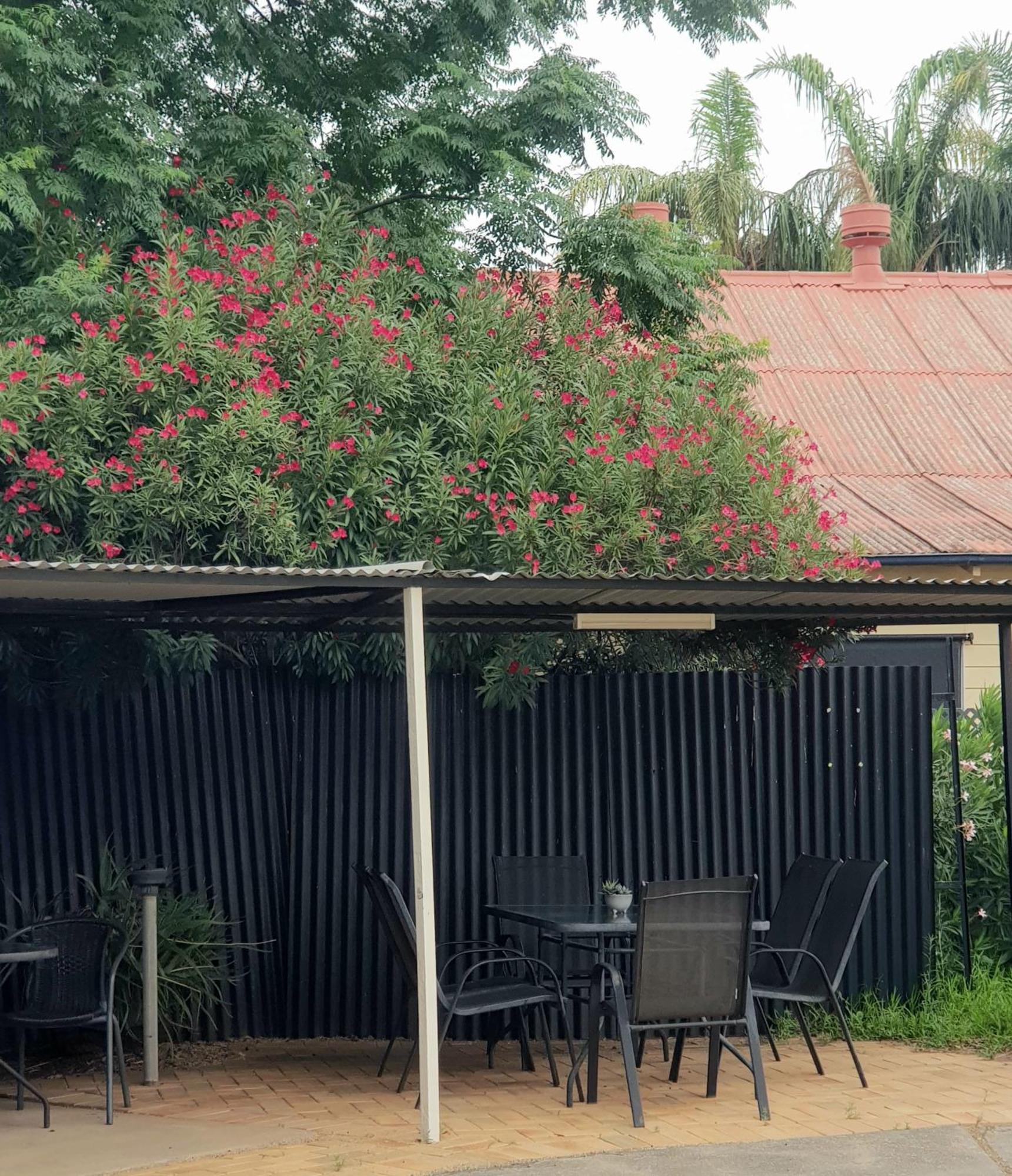 The Major Mitchell Motel Bourke Ngoại thất bức ảnh